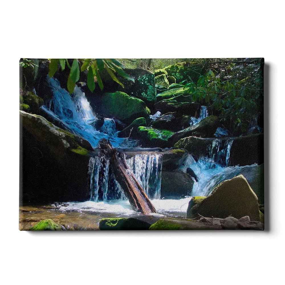 Destination - Creek