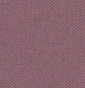 ECOTONE MEMO SAMPLE