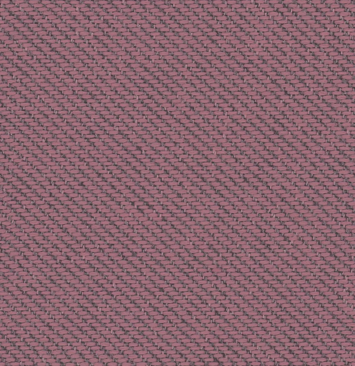 ECOTONE MEMO SAMPLE